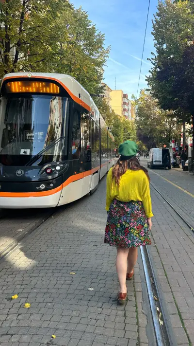 Kedi İşlemeli Tasarım Pazen Etek